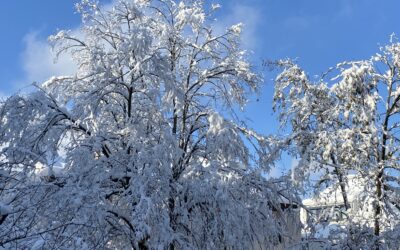 Kein glück – aber zurück im hier und jetzt mit Schnee