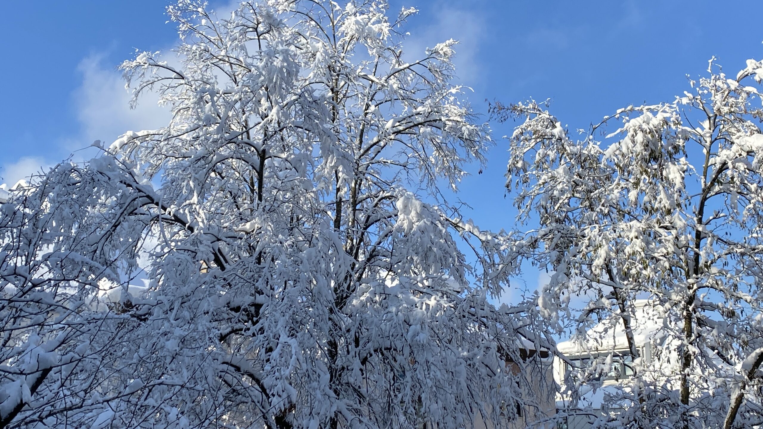 München Schnee 2023